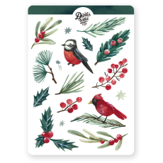 Divoká tužka: Vánoční flora